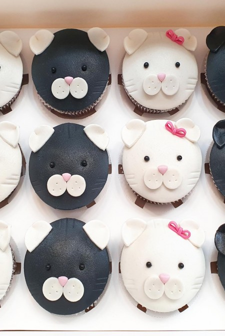 Cica cupcake 12-BOX